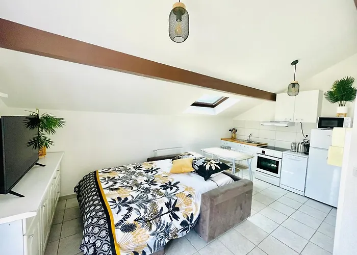 L'annexe - 3 Etoiles Apartment Thonon-les-Bains